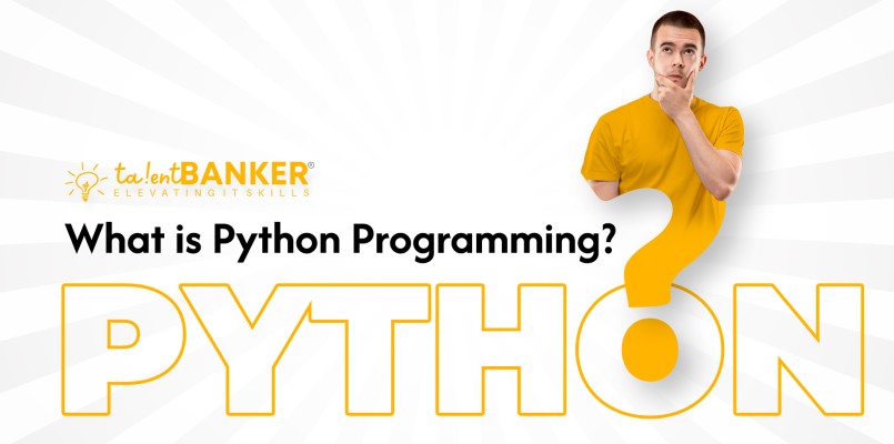 What is python programming?